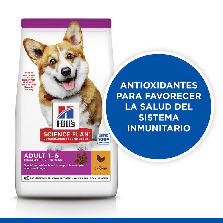 Hill's Science Plan Adult Small & Mini Pollo pienso para perros, , large image number null